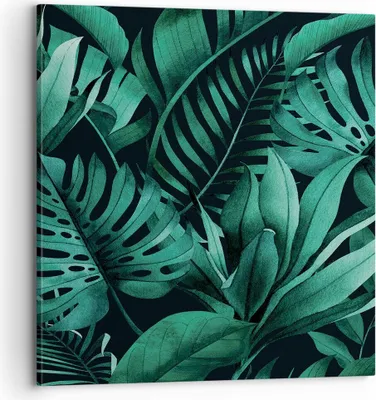Produktbild von Bild auf Leinwand - Leinwandbild - Einteilig - Blätter Grafiken Monstera - 70x70cm - Wand Bild - Wanddeko - Wandbilder - Leinwanddruck - Bilder - Wanddekoration - Leinwand bilder - AC70x70-4886