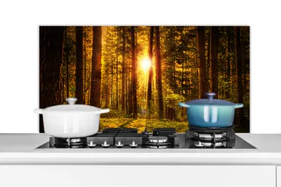 Obrázok produktu pre MuchoWow® Splashback Kuchyňa - Kuchynský backsplash - Ochrana steny pre sporák a drez Les - Slnko - Stromy - Príroda - Západ slnka 100x50cm Alu-Dibond