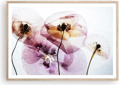 Produktbild von Gerahmtes Poster - Rahmen in heller Eiche - blume sommer natur - 100x70 cm - Wand Bild - Wanddeko - Wandbilder - Wandposter - Bilderrahmen - Bilder - Kunstdruck - Wandbild - P2NAA100x70-3821