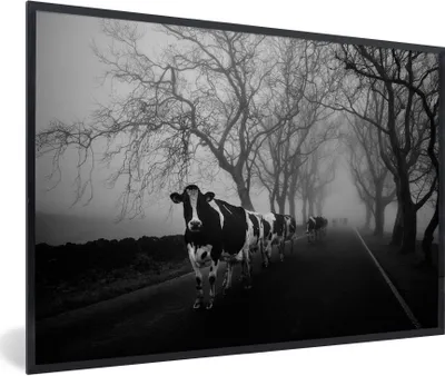 Produktbild von MuchoWow® MuchoWow® Gerahmtes Poster Reihe von Kühen 90x60 cm - Poster mit zchwarzem Bilderrahmen - Fotorahmen - Foto-Plakat