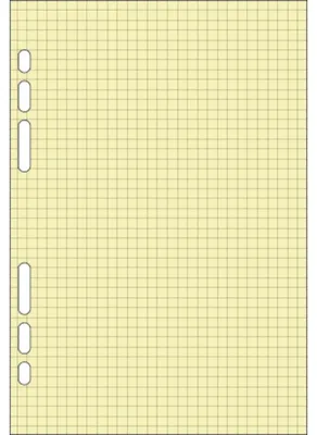 Immagine prodotto di EXACOMPTA inserto carta di ricambio 40 fogli per Exatime 21