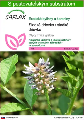 Obrázok produktu pre SAFLAX - Sladké drievko / sladké drievko - Glycyrrhiza glabra - 30 Semená - S pestovateľským substrátom bez klíčkov