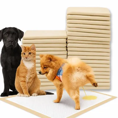 Produktbild von Hygieneunterlagen Hundetrainingsmatten Hundematten Saugunterlagen 45x60 cm 50 Stück Gelb