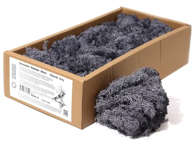 Image de 1 x Mousse décorative - Gris - (environ 500g)