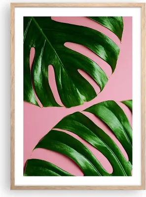 Produktbild von Gerahmtes Poster - Rahmen in heller Eiche - Monstera Blatt Rosa - 50x70 cm - Wand Bild - Wanddeko - Wandbilder - Kunstposter - Wandposter - Bilderrahmen - Bilder - Kunstdruck - P2NPA50x70-4407