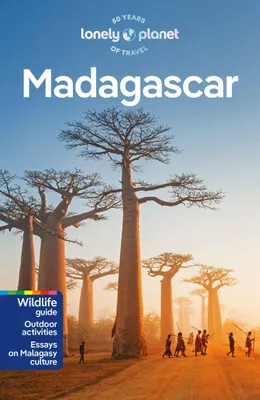 Produktbild von Lonely Planet Madagascar