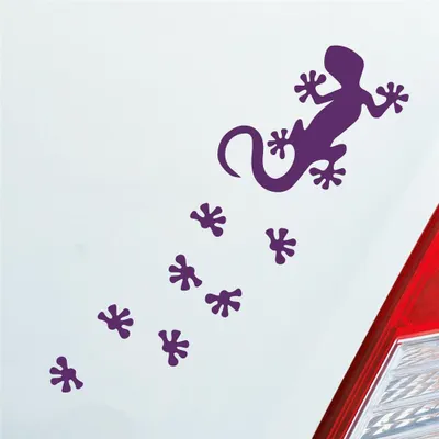 Produktbild von Auto Aufkleber Salamander Agame Echse Lizard Fußspuren 20x6 cm Lila Sticker Heckscheibenaufkleber