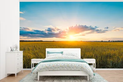 Produktbild von MuchoWow® Fototapete für Wohnzimmer oder Schlafzimmer Wandtapete Vinyl Motivtapete Rapsfeld bei Sonnenuntergang - 345x220 cm - Wohnzimmertapete