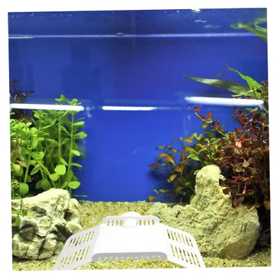 Produktbild von 1 Stück wasserdichte Reptilien-Kletterplattform für Schildkröten mit schwimmender Terrasse für Terrarien und Aquarien aus robustem Kunststoff