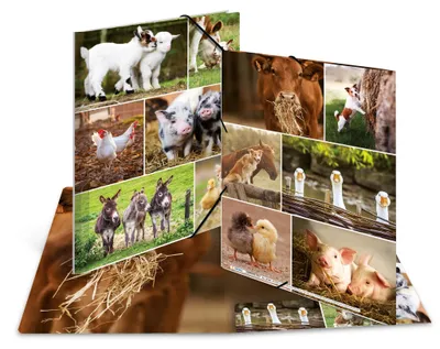 Produktbild von HERMA Eckspannermappe "Bauernhoftiere" Karton DIN A4