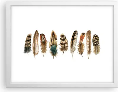Produktbild von Gerahmtes Poster - Weißer Rahmen - Weiß Hintergrund Federn - 40x30 cm - Wand Bild - Wanddeko - Wandbilder - Kunstposter - Wandposter - Bilderrahmen - Bilder - Kunstdruck - P2WAA40x30-4419
