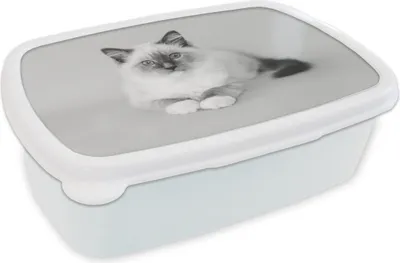 Produktbild von KitchenYeah® Lunchbox Brotzeit Brotdose 17x11 cm Katze - Ragdoll Katze - Blau - Mädchen - Kinder - Jungen - Kind Kinder Brotzeitdose - Lunch Box - Kinder - Sandwich-Box - Schulbox - Lunch Boxen