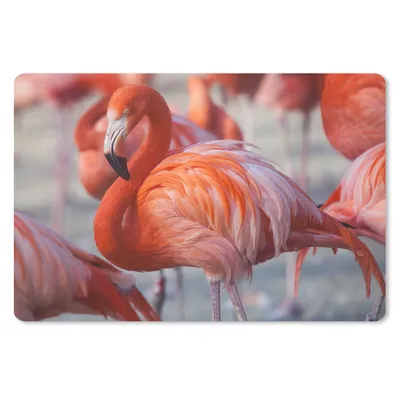 Produktbild von MuchoWow® Mauspad Mousepad Flamingo - Vogel - Tiere - Rosa 27x18 cm - Mousepads - Maus Mat - Pad - Mausunterlage - Büroartikel - Desk Matten