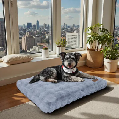 Produktbild von WISFOR Hundebett Hundesofa Hundecouch Hundekissen Plüsch, wasserfest waschbar Bezug abnehmbar L: 90 x 60 x 10 cm, Grau
