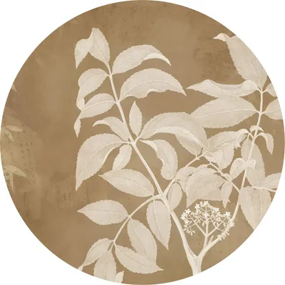 Obrázok produktu pre Komar samolepiaca okrúhla tapeta Blooming Branch Beige - 611168 - Ø 125 cm