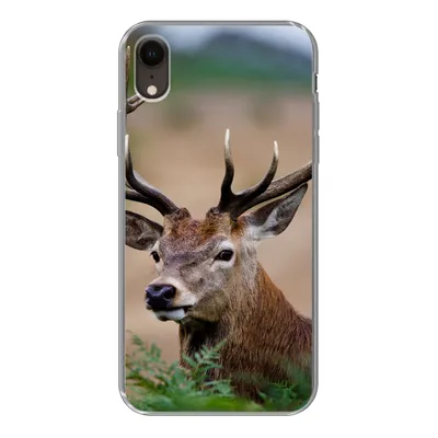 Produktbild von MuchoWow® Handyhülle Schutzhülle Hülle für iPhone XR Hirsche - Farne - Natur Silikon Softcase Handy Hülle - Schutzdeckel