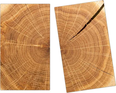 Produktbild von Spritzschutz Herdabdeckplatte Schneidebrett aus Glas Baumstamm 2-Teilig (60x52cm)