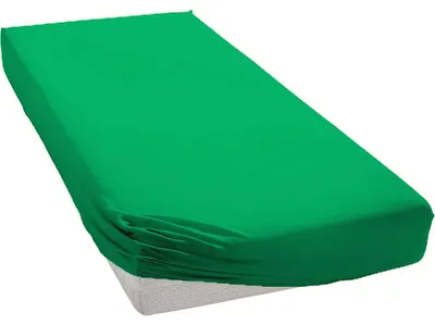 Produktbild von Jersey Sheet Grün Größe: 90x200 cm