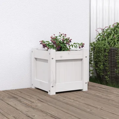 Produktbild von Design Möbel Pflanzkübel Weiß 31x31x31 cm Massivholz Kiefer - 2024 Neu