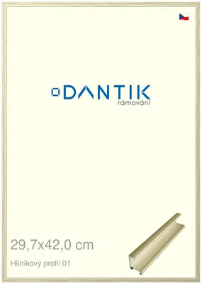 Zdjęcie produktu dla Ramka DANTIK 29,7x42 | ALU profil 7001 złota błyszcząca alternatywa (Plexi Clear)