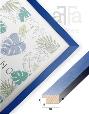 A framed picture with a botanical print and a close-up of the frame's profile with dimensions.