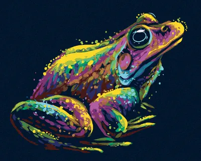 Produktbild von Zuty - Malen nach Zahlen - FARBIGER FROSCH, 40x50 cm, ohne Keilrahmen