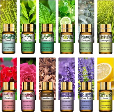 Image de Huiles essentielles, coffret de 12 pièces, aromathérapie naturelle, 12 pièces, kit, 5 ml