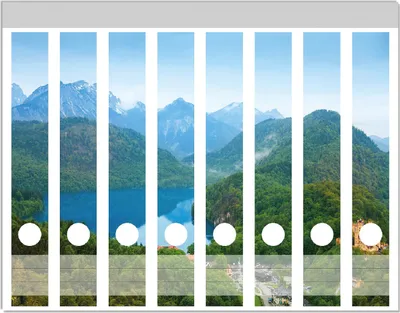 Produktbild von Wallario Ordnerrücken Sticker, selbstklebend für schmale Ordner, 8 Stück, Motiv Schloss Hohenschwangau neben dem Alpsee
