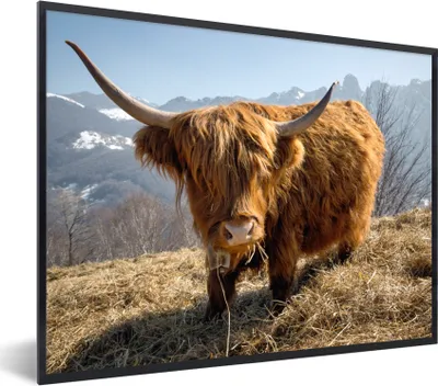 Produktbild von MuchoWow® Gerahmtes Poster Schottischer Highlander - Berg - Schnee 80x60 cm - Poster mit Schwarzem Bilderrahmen Wandposter Rahmen Foto Bilder - Schwarzem - Mit Gestell