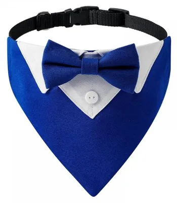 Immagine prodotto di Fascia elegante per cani, con anello a D regolabile