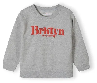 Obrázok produktu pre Mikina Minoti, bavlna, sivá, veľkosť 80, pre chlapcov