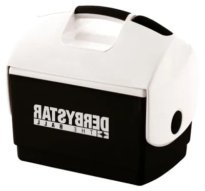Produktbild von Robuste und langlebige Kühlbox mit 10 Liter Fassungsvermögen, aus hochwertigen Materialien