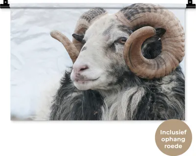 Produktbild von MuchoWow® Wandteppich Wandbehang Schafe - Horn - Tiere 60x40 cm Tapisserie Dekoration Wandtuch - Wanddekorationen