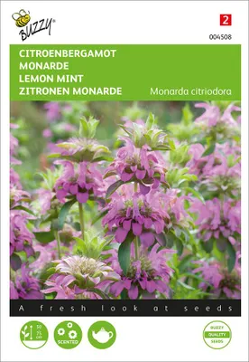 Produktbild von Samen Monarda Zitrone Bergamotte 0.15g Buzzy