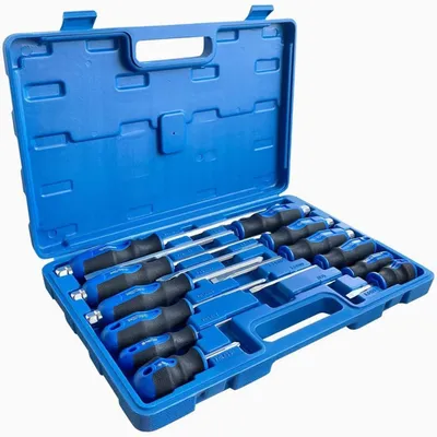 Productafbeelding van Magnetische schroevendraaierset, 12-delig, met nikkelchroompunten, 6x kruiskop, 6x platkop, blauw