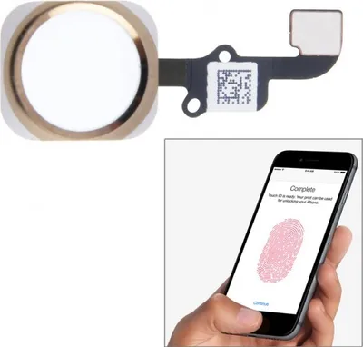 Immagine prodotto di Pulsante Home Fingerprint Sensore Touch ID per Apple iPhone 6 Cavo Flex Oro