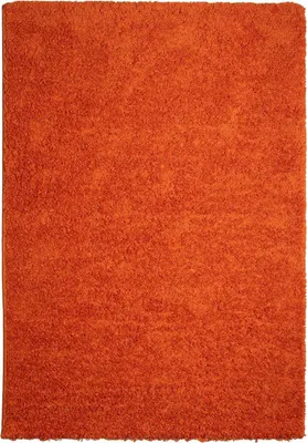Zdjęcie produktu dla 120x170 cm Kawałek dywanu Efor Shaggy 3419 Pomarańczowy