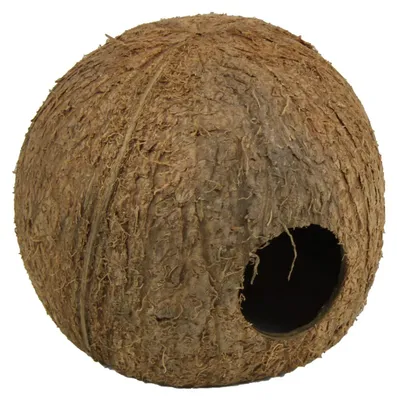 Obrázok produktu pre JBL Cocos Cava 3/4 l