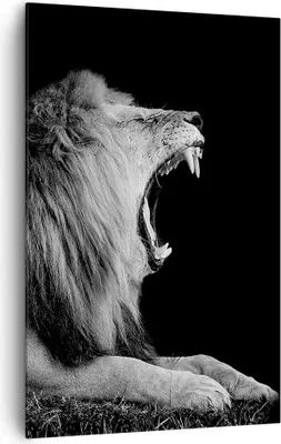 Produktbild von Bild auf Leinwand - Leinwandbild - Einteilig - Löwe Gähnen Schwarz und Weiß - 80x120cm - Wand Bild - Wanddeko - Wandbilder - Leinwanddruck - Wanddekoration - Leinwand bilder - Wandbild - PA80x120-4252