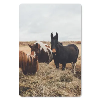 Produktbild von MuchoWow® Mauspad Mousepad Tiere - Pferd 18x27 cm - Mousepads - Maus Mat - Pad - Mausunterlage