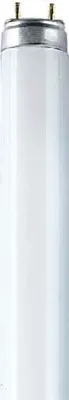 Produktbild von Osram Active Daywhite, 30W, G13, 2400 lm, A, 89,5 cm