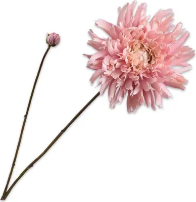 Productafbeelding van Kunstbloem, zijden chrysantentak, crème-roze, 101 cm