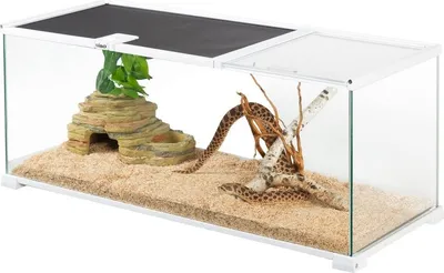 Produktbild von OiiBO Terrarium RAK13W - Terrarium 76x30x30cm OiiBO