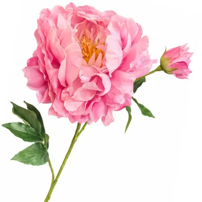 Produktbild von Silk-ka Seidenblume Pfingstrose Rosa (79cm)