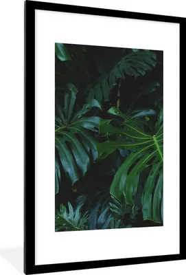 Produktbild von MuchoWow® Gerahmtes Poster Dschungel - Grün - Blätter 60x90 cm - Poster mit Schwarzem Bilderrahmen Wandposter Rahmen Foto Bilder - Dekoration - Wandposter Wohnzimmer - Hochwertig