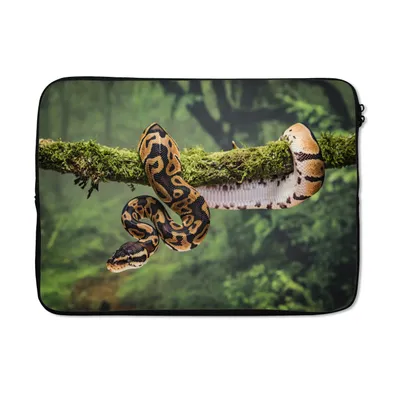 Produktbild von MuchoWow® Laptop Hülle 14 ZollSchlange - Zweig - Regenwald Laptoptasche - Laptoptasche - Stoßsicher - Schutzhaube