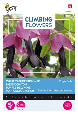 Obrázek produktu pro Buzzy Popínavé květiny Rhodochiton Purple Bells semena - cca 10 semen | Buzzy_080940