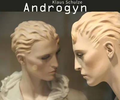 Produktbild von Schulze,Klaus-Androgyn (Bonus Edition)