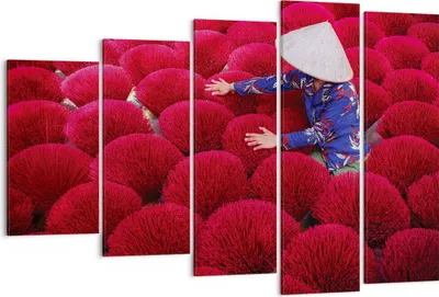 Produktbild von Bild auf Leinwand - Leinwandbild - 5 Teile - Trocknen Weihrauch Vietnam - 150x100cm - Wand Bild - Wanddeko - Wandbilder - Leinwanddruck - Bilder - Wanddekoration - Leinwand bilder - EG150x100-4655