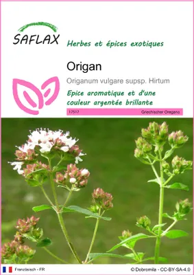 Image de SAFLAX - Origan - 600 graines - Origanum